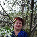 ���� �����, ������������, 66 ��� - ��������� 29 ������ 2024 � ������ ���� ����������