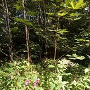 ���� O!, ������, 67 ��� - ��������� 13 ������ 2026 � ������ ����������