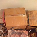 ���� Gnel., ����, 36 ��� - ��������� 5 ������ 2024 � ������ ���� ����������