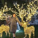 ���� �����, ������������, 57 ��� - ��������� 21 ������ 2024