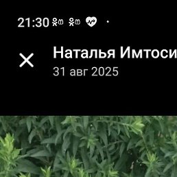 �������, ���������, 68 ���