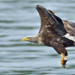 ���� ������, �����������, 43 ���� - ��������� 26 ������ 2025