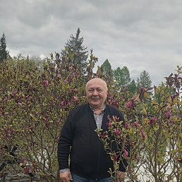 ������, 63 ����, �������