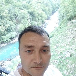 , 43, 
