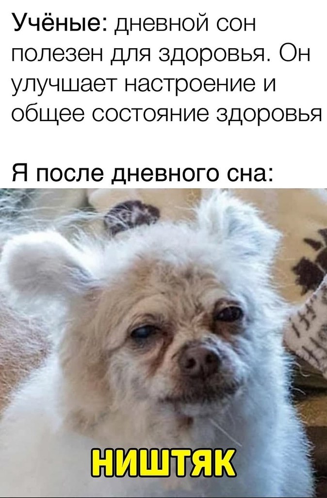 Учёные выяснили, сколько нужно спать днём, чтобы не чувствовать себя разбитым.Для быстрого улучшения ...