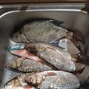 ���� �������, �����������, 48 ��� - ��������� 2 ������ 2026 � ������ ���� ����������
