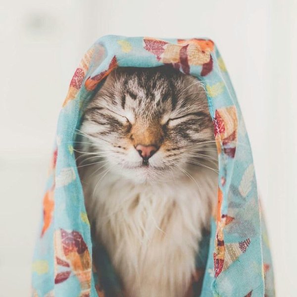 ПОКА ЕСТЬ ЖЕЛАНИЕ.Много лет назад, когда ещё была жива моя мудрая бабушка, она однажды сказала нам с ...