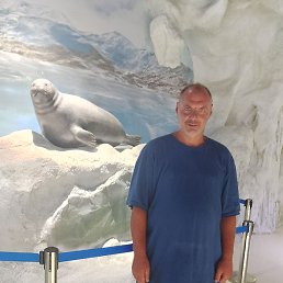 ������� ����������, ����, 43 ����