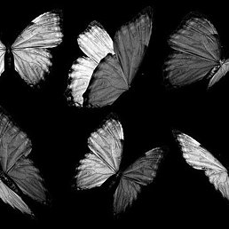 Me Porto, ������, 32 ����