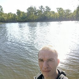 , 33, 