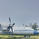 ���� ������, ���������, 40 ��� - ��������� 8 �������� 2024 � ������ ���� ����������