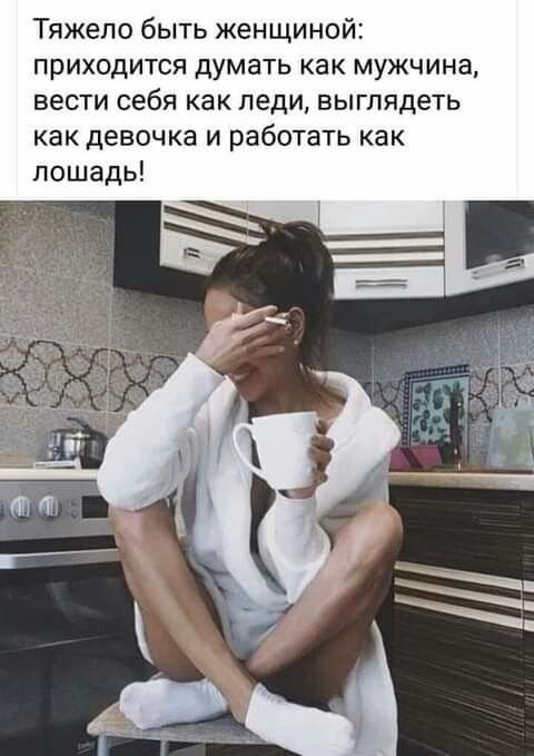 �������� ��������� - 17 ��� 2026 � 13:54