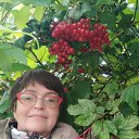 ���� ������, ��������, 64 ���� - ��������� 24 �������� 2025