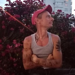 ���� �����, �����������, 43 ���� - ��������� 16 ���� 2024