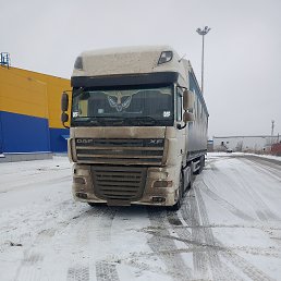 ���� ����������, �������������, 55 ��� - ��������� 7 ������� 2025