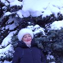 ���� �����, ���������, 74 ���� - ��������� 2 ����� 2026