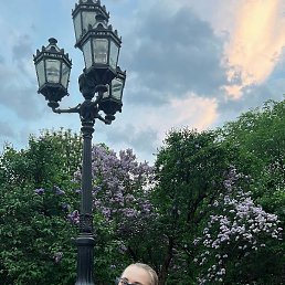 ���������, �����-���������, 29 ���