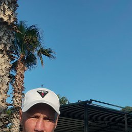  , 46,  