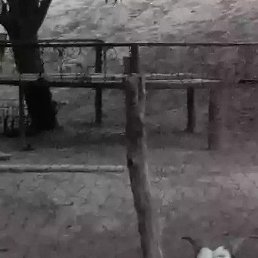 ����, ������, 26 ���