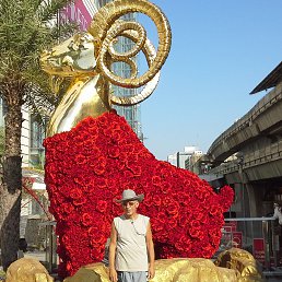 , 65, 