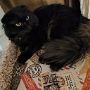 ���� ������, ��������, 30 ��� - ��������� 14 ������� 2024