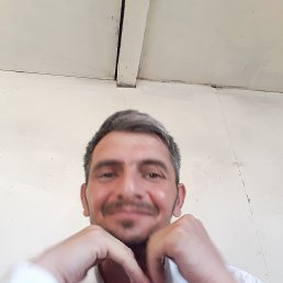 Rauf, 36, 