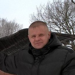 �������, �����-���������, 45 ���