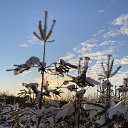 ���� ������, �����-��������� - ��������� 15 ������� 2026 � ������ ������ ��������