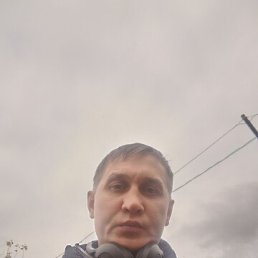 ���� ����, �����������, 41 ��� - ��������� 31 ���� 2026