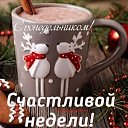 ���� ��������, �����������, 51 ��� - ��������� 22 ��� 2024 � ������ ���� ����������
