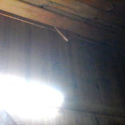 ������, ������-��-����, 56 ���