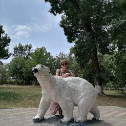 , 54, 