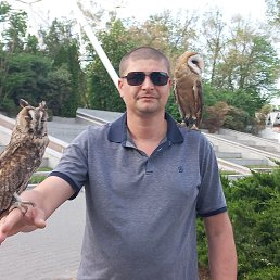 ���� �������, ������-��-����, 40 ��� - ��������� 25 ������� 2025