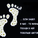 ���� ������, ����-��������� - ��������� 27 ���� 2025 � ������ ���� ����������