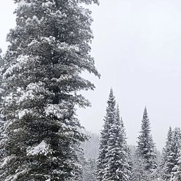 ���� �������, ������, 63 ���� - ��������� 22 ������� 2026