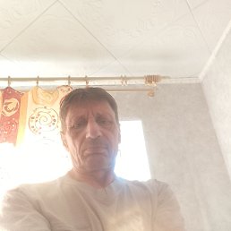 , 55 , -