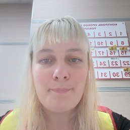 ���, 41 ���, ����