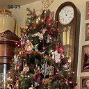 ���� ��������, �����-���������, 52 ���� - ��������� 2 ������ 2024 � ������ ���� ����������