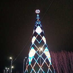 ���� ����, ������, 40 ��� - ��������� 16 ������ 2024