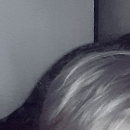 �����, ������������, 55 ���