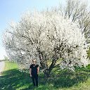 ���� ���������, ����, 41 ��� - ��������� 20 ������ 2025 � ������ ���� ����������