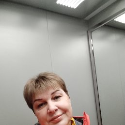 ���� �������, ������, 50 ��� - ��������� 14 ������ 2024