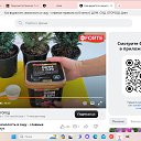 ���� ����, ���������, 66 ��� - ��������� 26 ������� 2024 � ������ ���� ����������