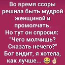 ���� �����, ������������, 43 ���� - ��������� 24 ���� 2026 � ������ ������ ��������
