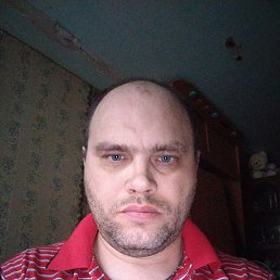 ������, 41 ���, ������