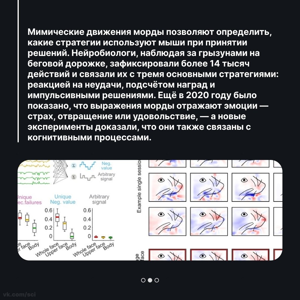 Путешествия | Туризм | Отдых на 5 - 8 октября 2025 в 10:41 - 2