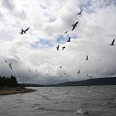 ���� ������, ����-��� - ��������� 24 ������ 2025 � ������ ������������ ����� 1�
