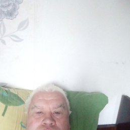 , 61 , 
