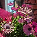 ���� Sandra, ������ - ��������� 27 ���� 2025 � ������ ������ ��������