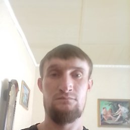 ������, 38 ���, �����������